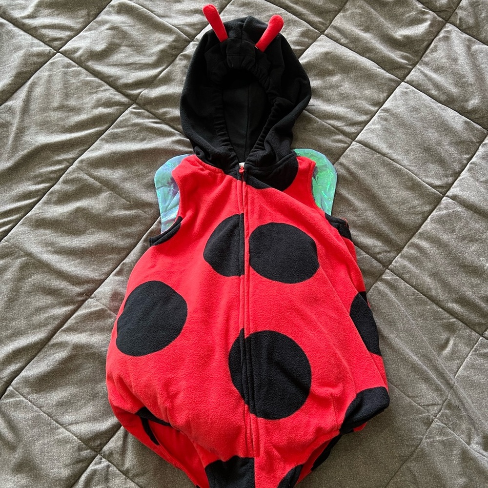 Halloween ladybug costume